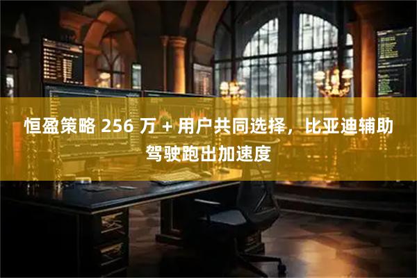 恒盈策略 256 万 + 用户共同选择，比亚迪辅助驾驶跑出加速度