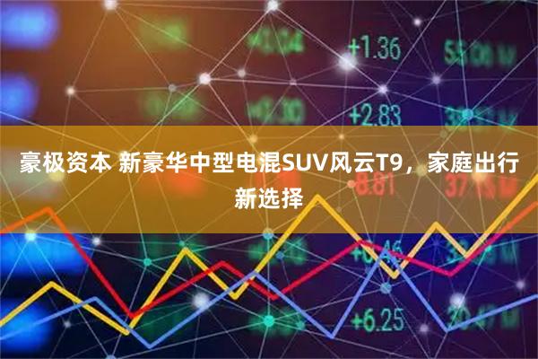 豪极资本 新豪华中型电混SUV风云T9，家庭出行新选择